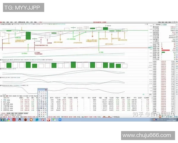 南京排球队与成都排球队赛后技术分析与战术复盘探讨