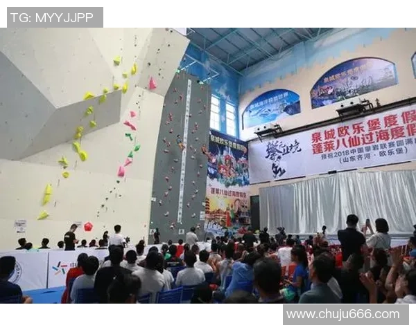 南京街舞队在攀岩联赛中的团队协作表现分析与点评